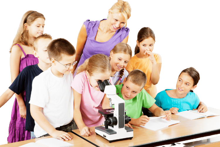 chlorella en la escuela