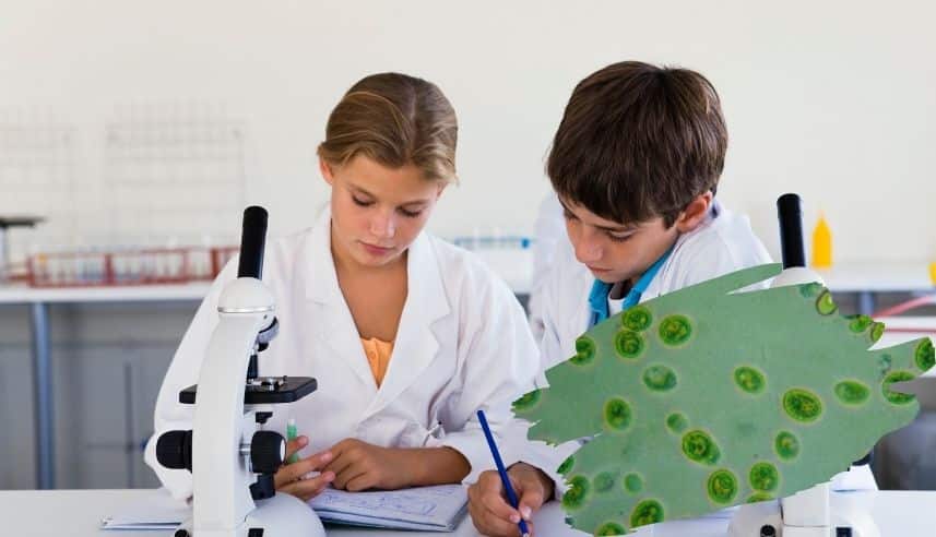 Chlorella en la escuela