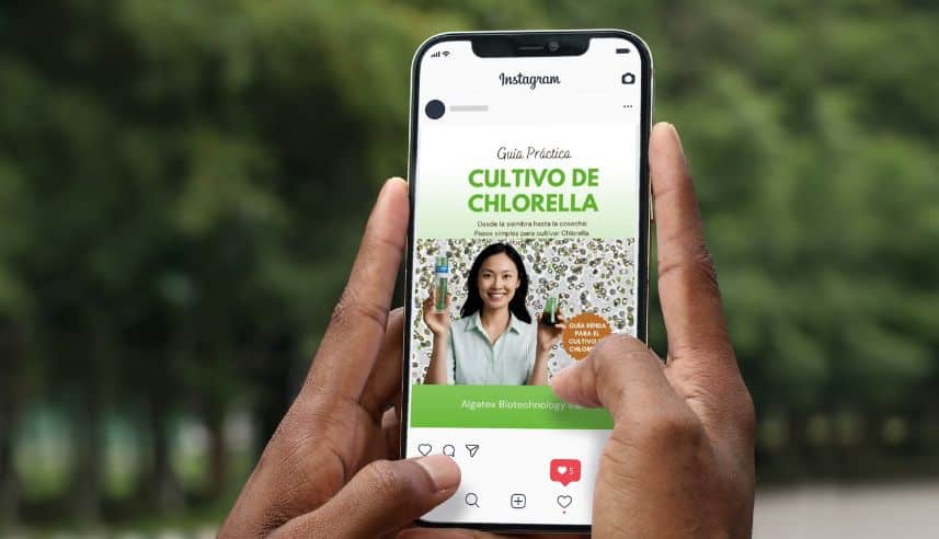 ebook algae