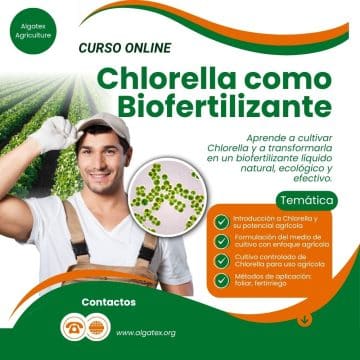 Chlorella como biofertilizante natural